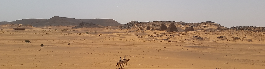 About Tim Shifflett feature image